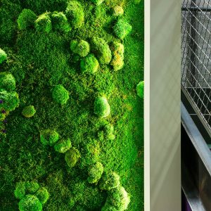 100% Natural Plants Vertical Garden