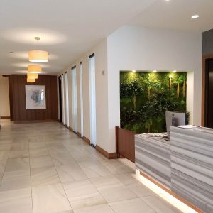Green Design for Workplace