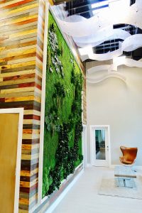 Low Maintenance Preserved Plant Garden