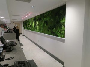 Vertical Wall Garden Hotel Application