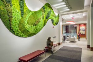 Preserved Foliage Wall Art