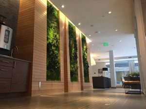 Exotic Foliage Wall Framed Garden