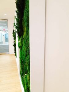 Long Lasting Preserved Wall Garden