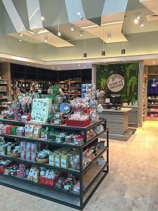 Preserved Forest Wall in Gift Shop