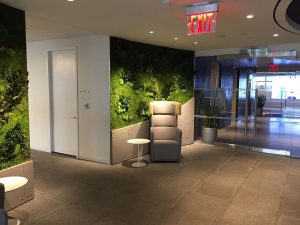 Sustainable Office Garden