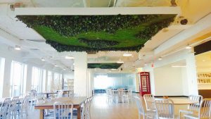 Framed Ceiling Foliage Garden