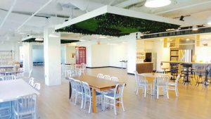 Framed Ceiling Garden Dining Area