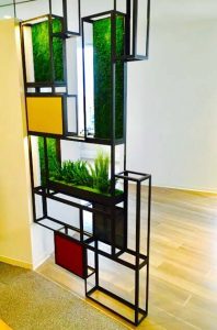 Wall Frames with Preserved Plants