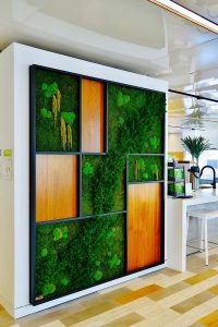 Exotic Plant Species Wall Garden