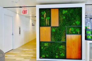 Sustainable Design Wall Garden Collage