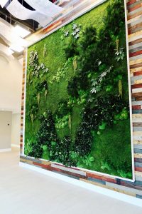 Framed Wall Garden No Maintenance