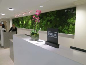 Hotel Lobby Preserved Garden