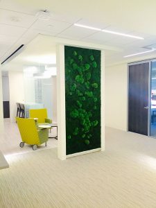 All Natural Wall Garden Divider