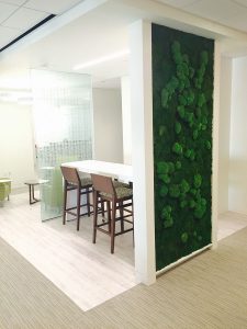 All Natural Vertical Garden AARP