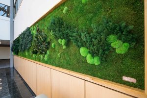 Preserved Foliage Wall Garden