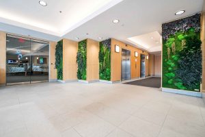 Long Lasting Preserved Wall Gardens