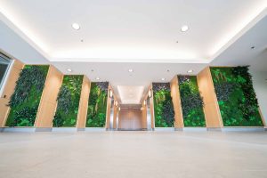 Vertical Garden in Lobby