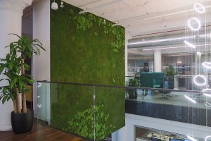 Sustainable Office