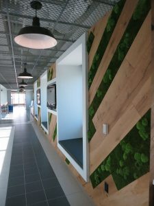 Preserved Moss Garden with Wood Panels