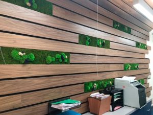 Natural Interior Planters