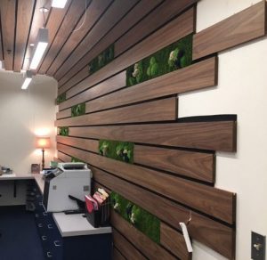 Natural Plants Vertical DIsplay