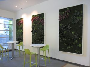 Easy To Maintain Framed Wall Garden