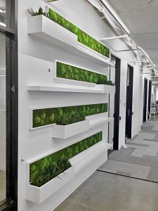 Sustainable Planters