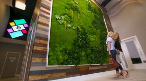 Garden on the Wall – Introduction