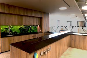 Anybill