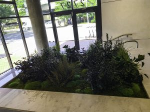GOTW IO Piazza