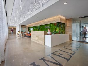 GOTW University of Virginia