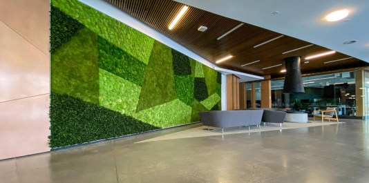 Fern & Flower Gardens for Biophilic Design in this Atrium