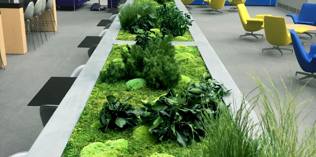 Fern & Flower Gardens for Biophilic Design in this Atrium